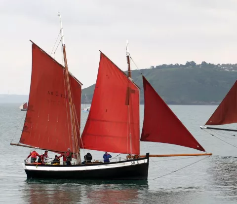 LA Pauline