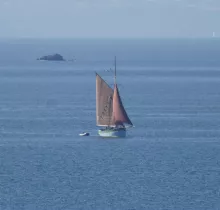 dernière sortie 2026